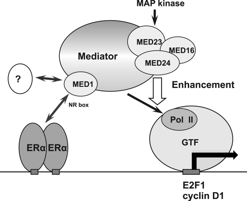 Fig 12