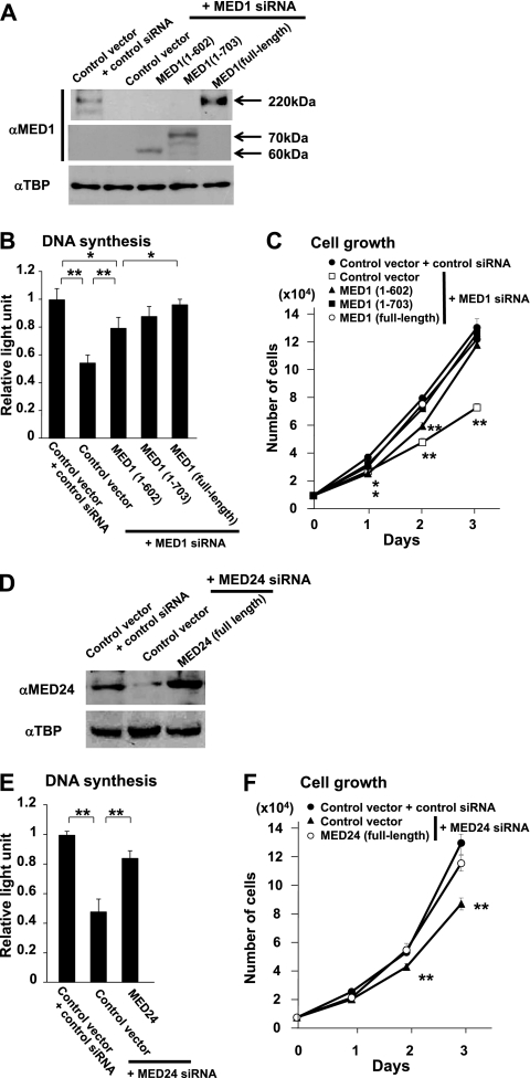 Fig 11