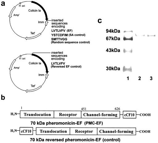 FIG. 1.