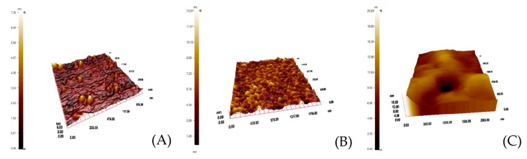 Figure 14