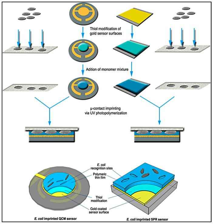 Figure 20