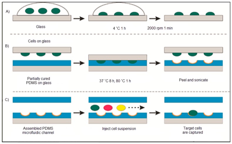 Figure 18