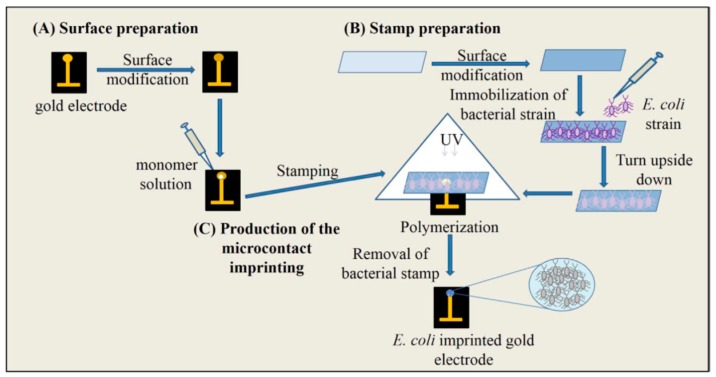 Figure 19