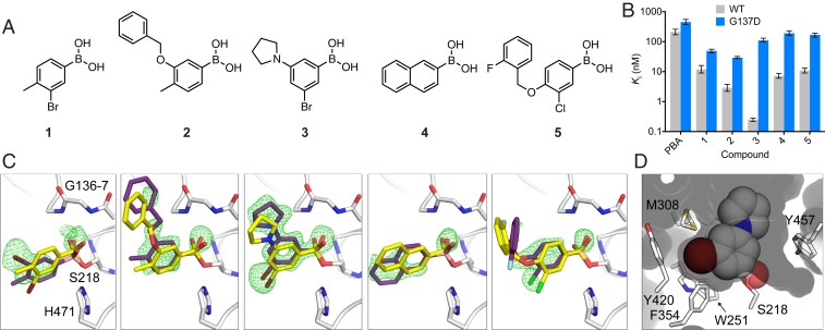 Fig. 2.