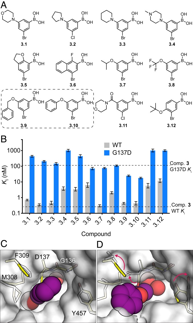 Fig. 3.