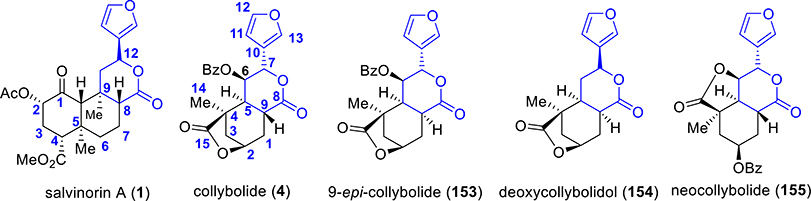 Figure 12.