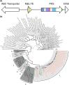 <sc>Fig.</sc> 4.