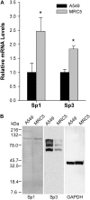 <b>Figure 6.</b>