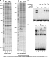 <b>Figure 3.</b>