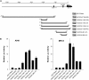 <b>Figure 2.</b>