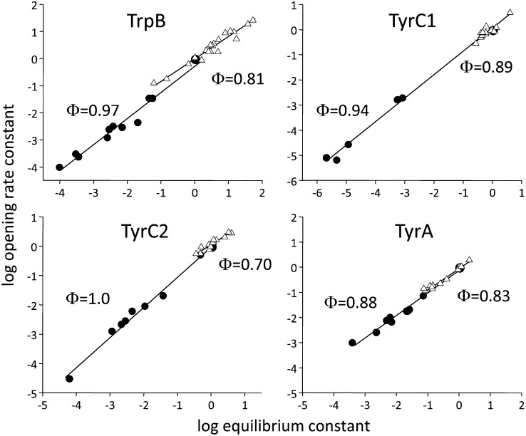 Fig. 4.