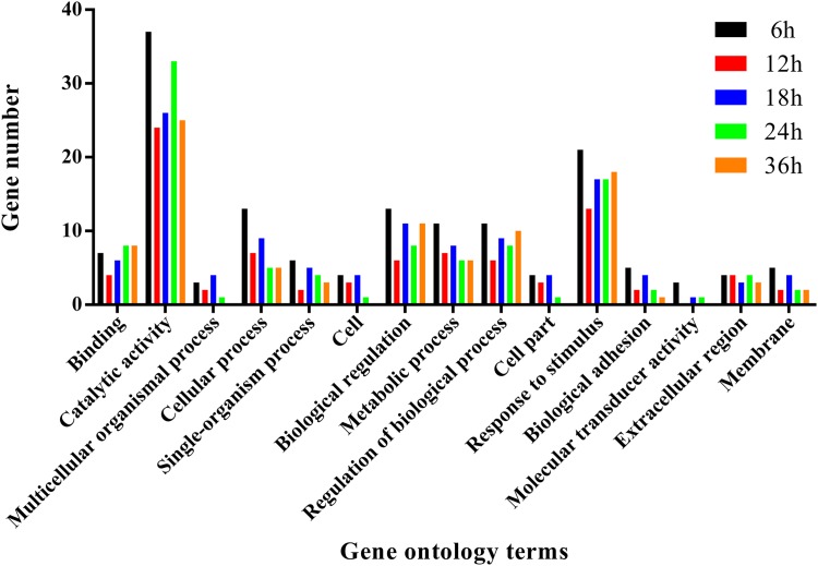 FIGURE 4