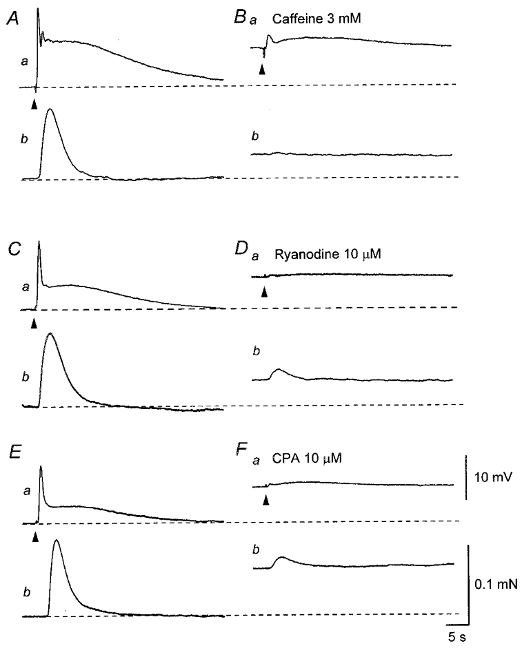 Figure 8