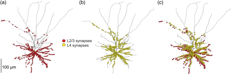 Figure 4.