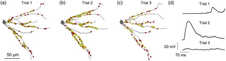 Figure 6.