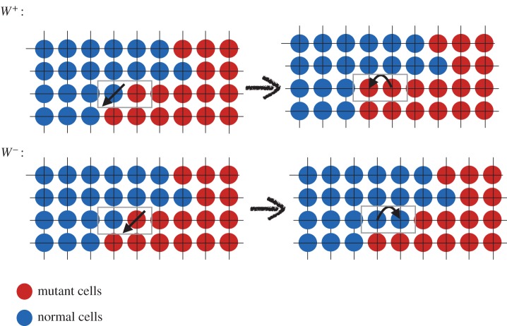 Figure 5.