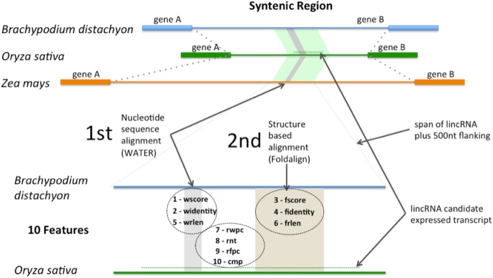 Figure 11.