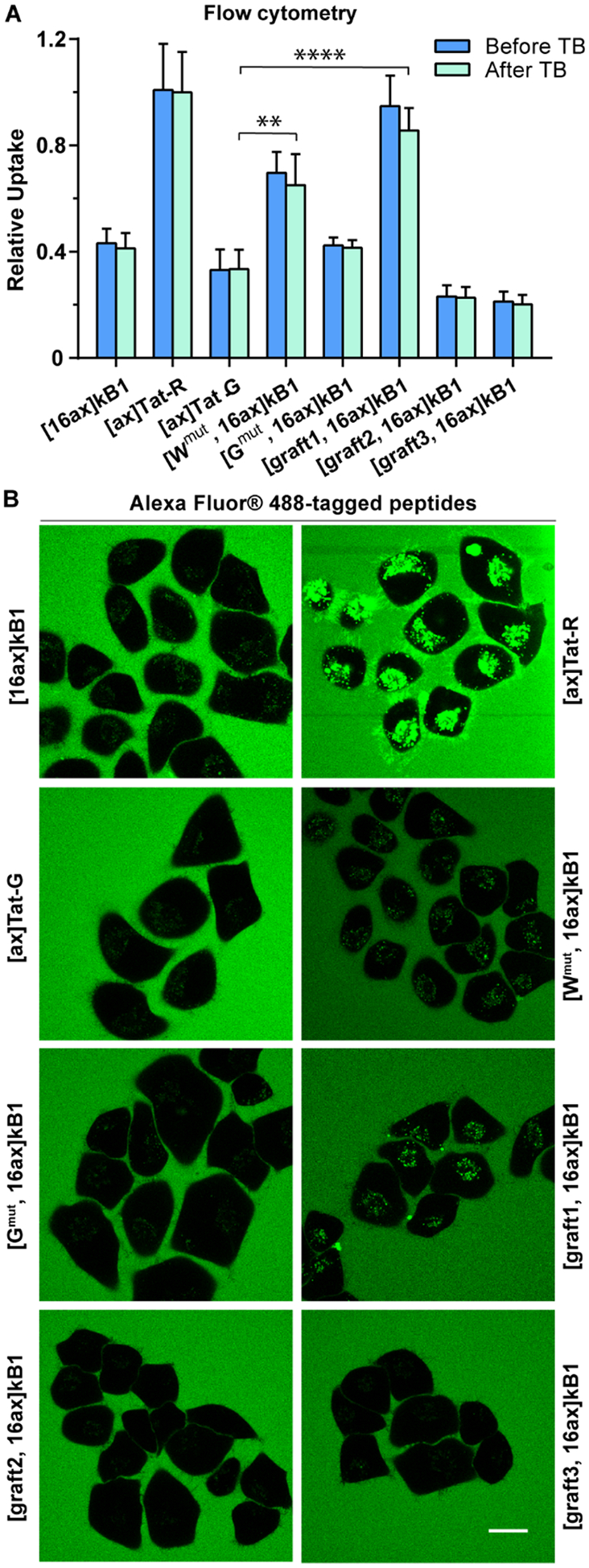 Figure 6.