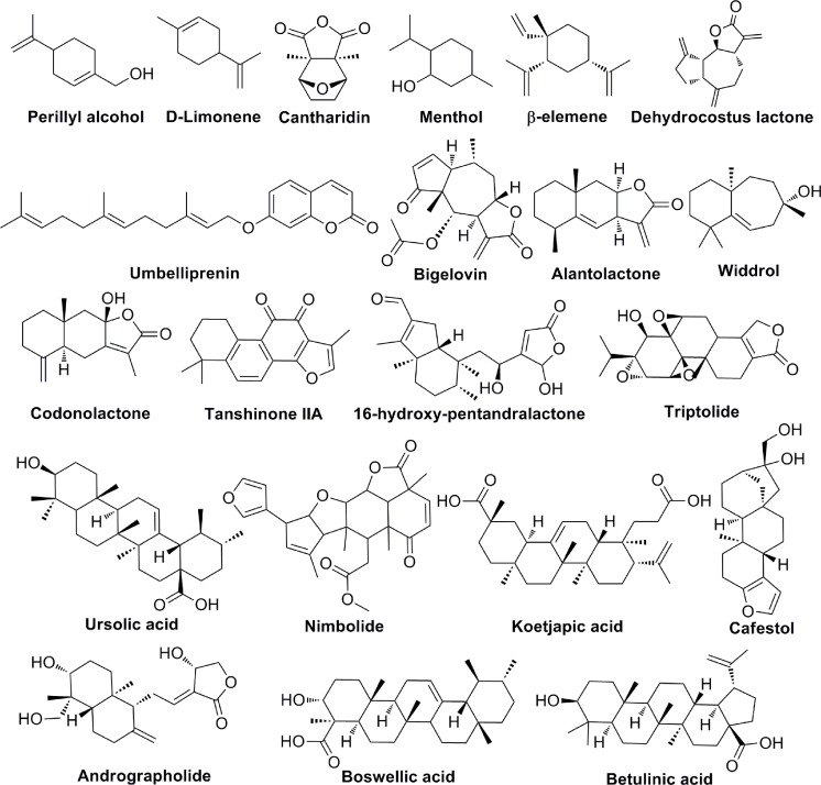 Figure 5