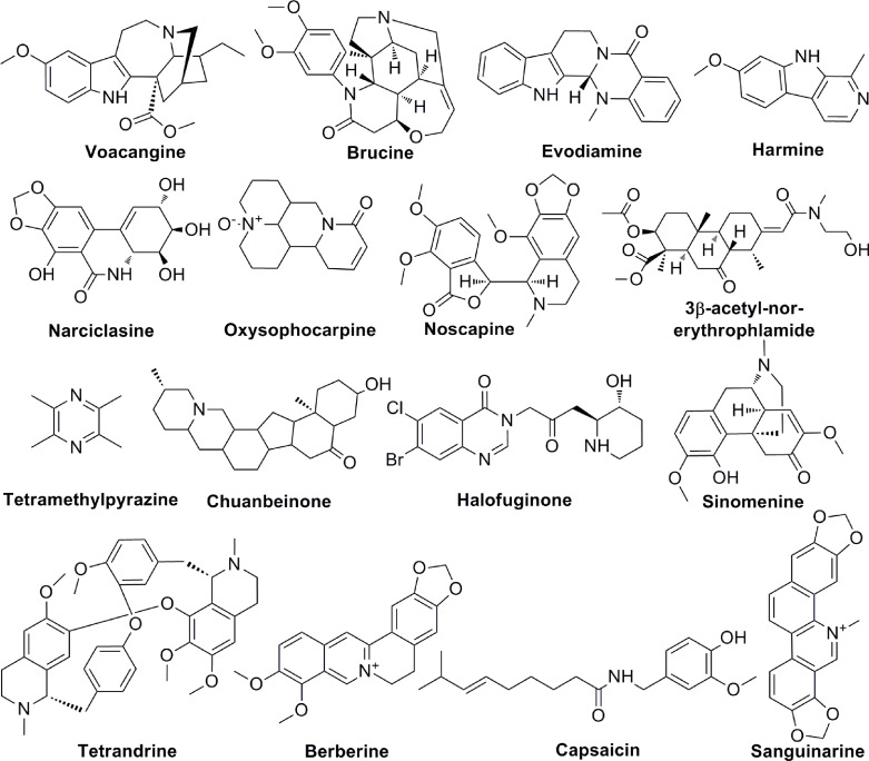 Figure 4