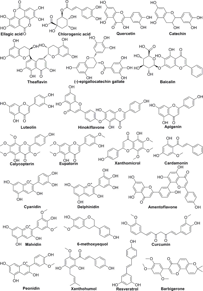 Figure 3