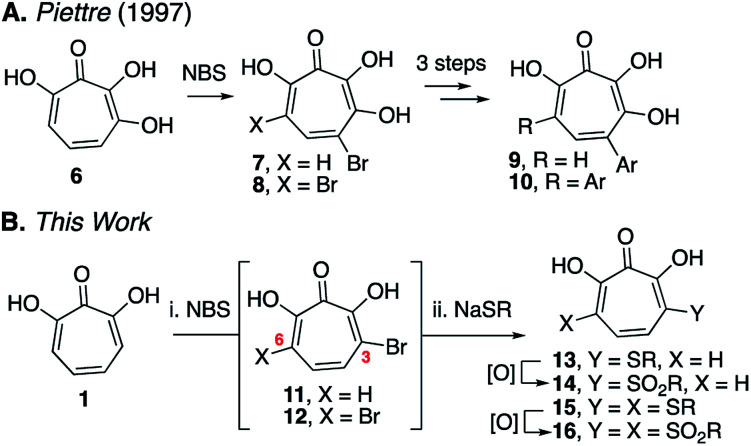 Scheme 2