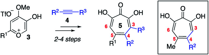 Scheme 1