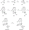 Scheme 4.