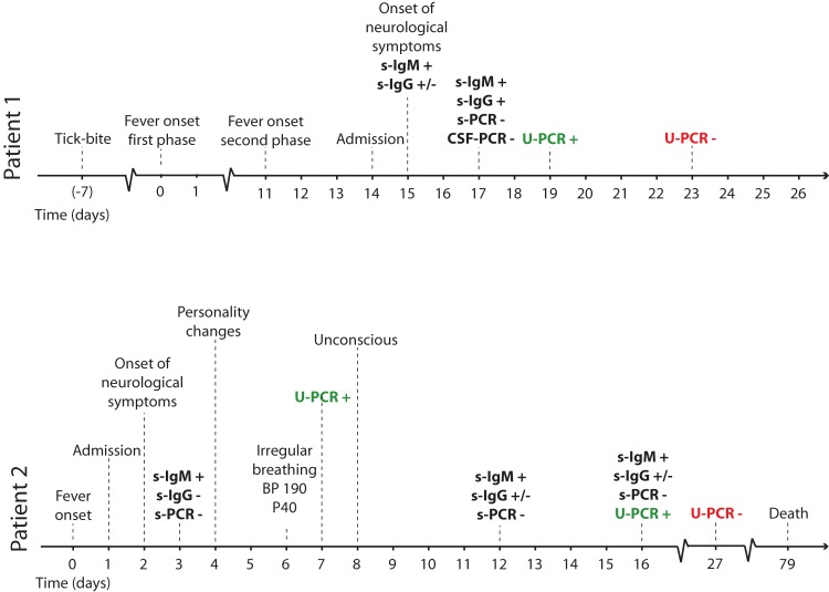 FIG 1