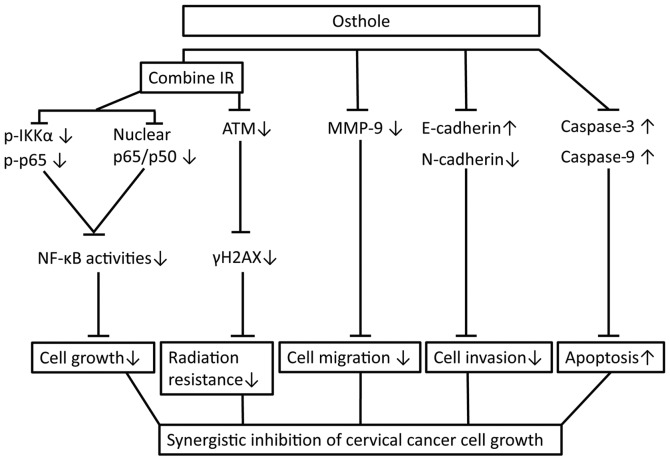 Figure 7.