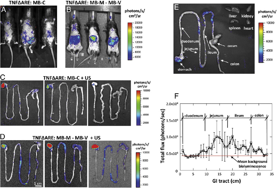 Fig. 6