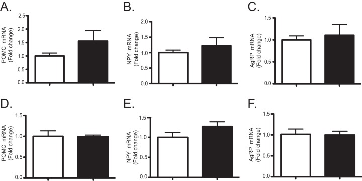 FIG 10