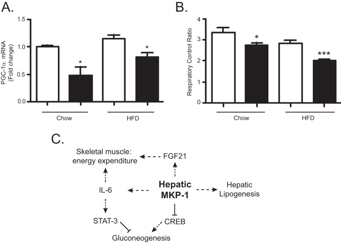 FIG 12