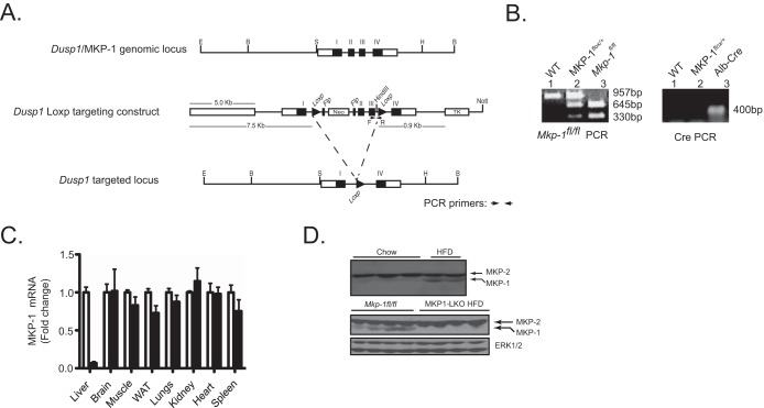 FIG 1