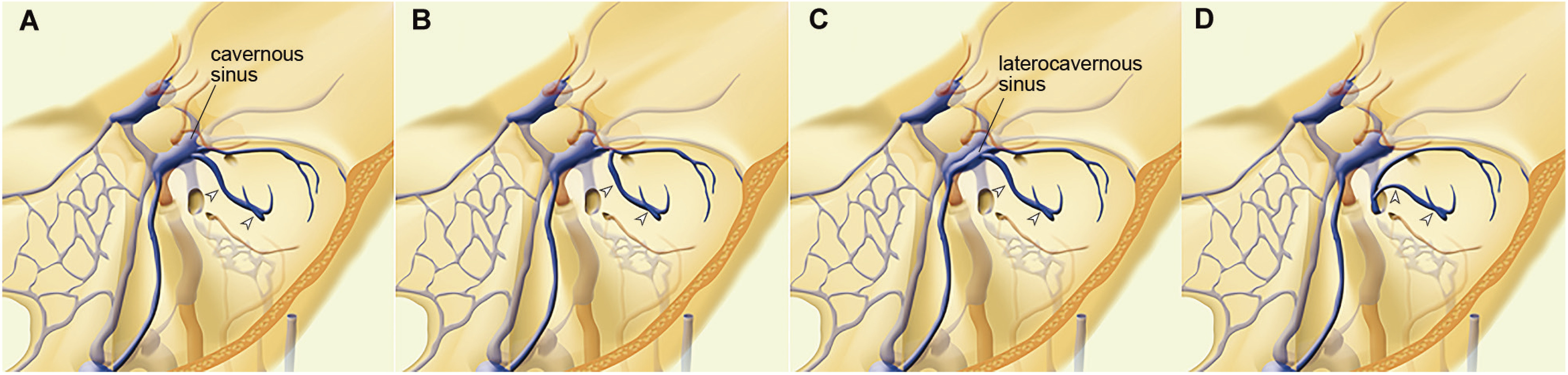 Fig. 8