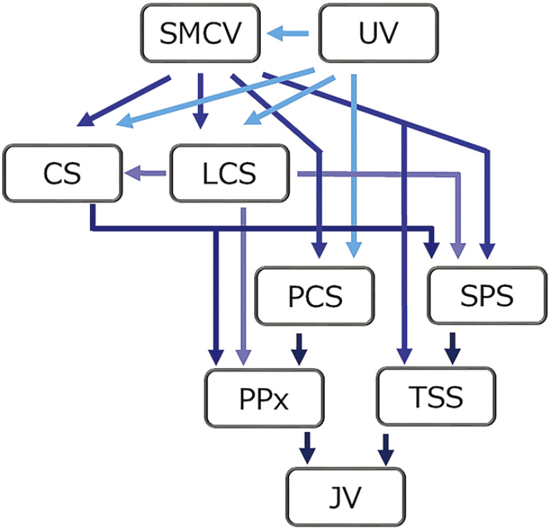 Fig. 5