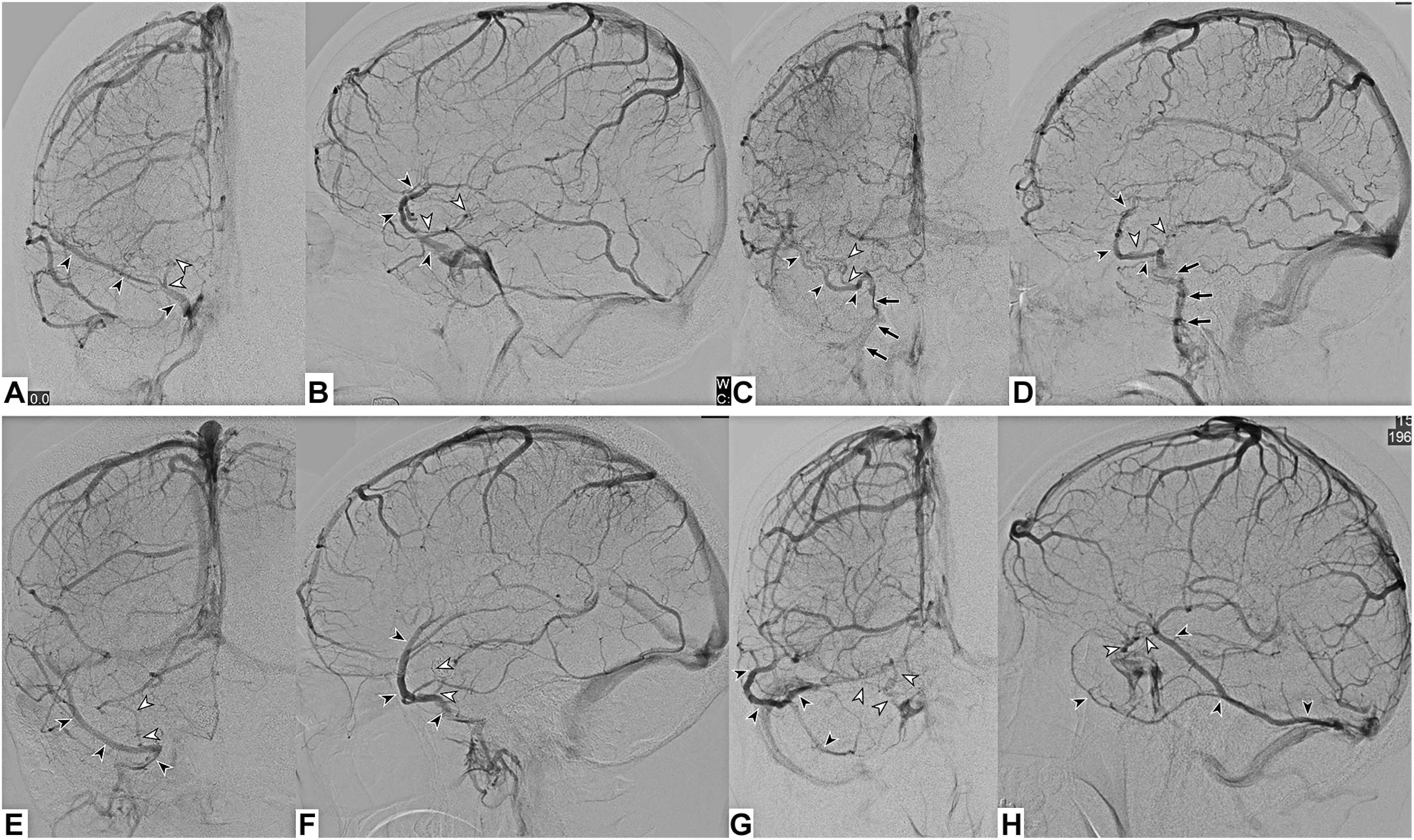 Fig. 7