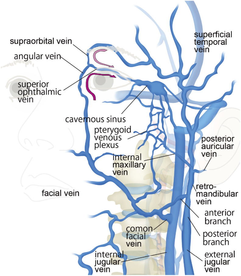 Fig. 9