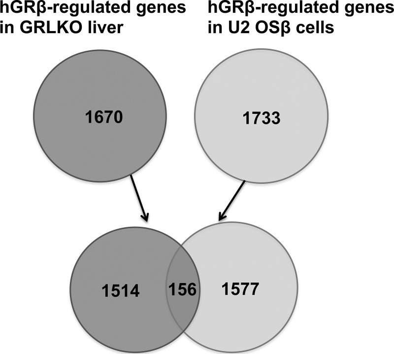 FIG 14