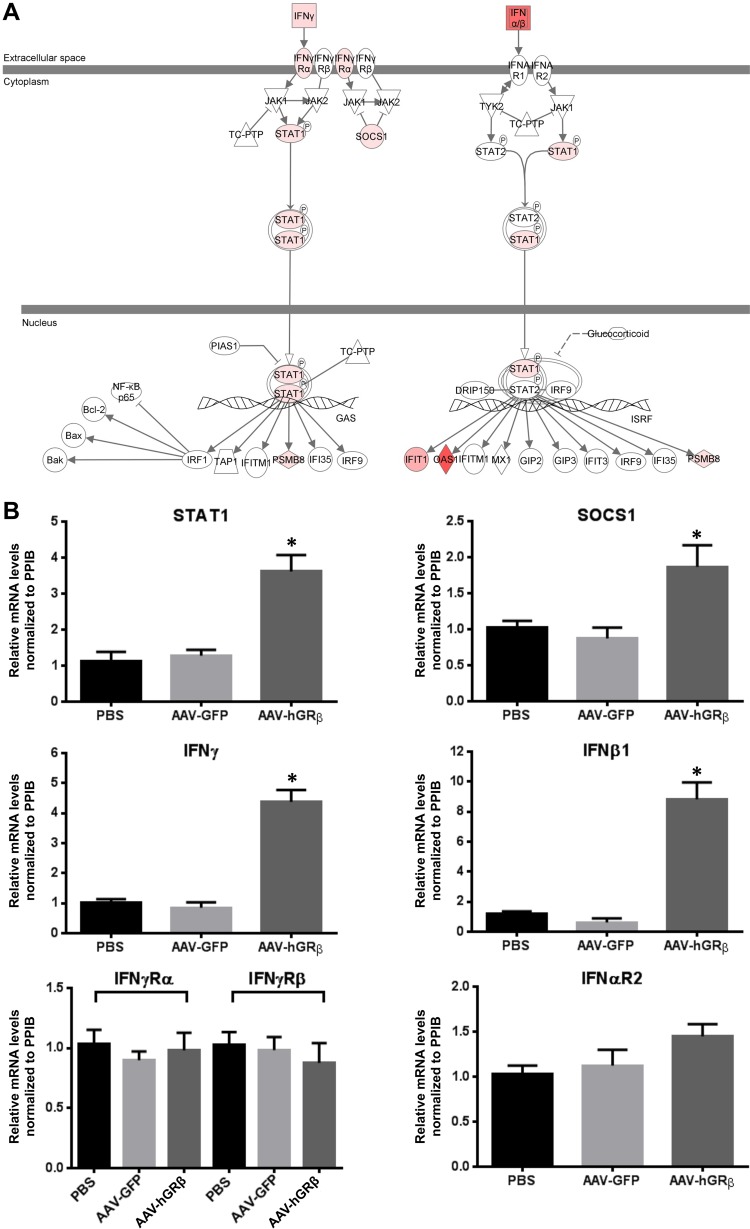 FIG 6