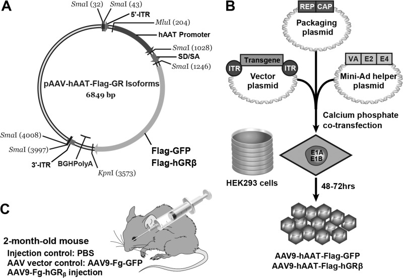 FIG 1