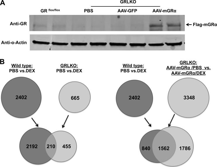 FIG 8