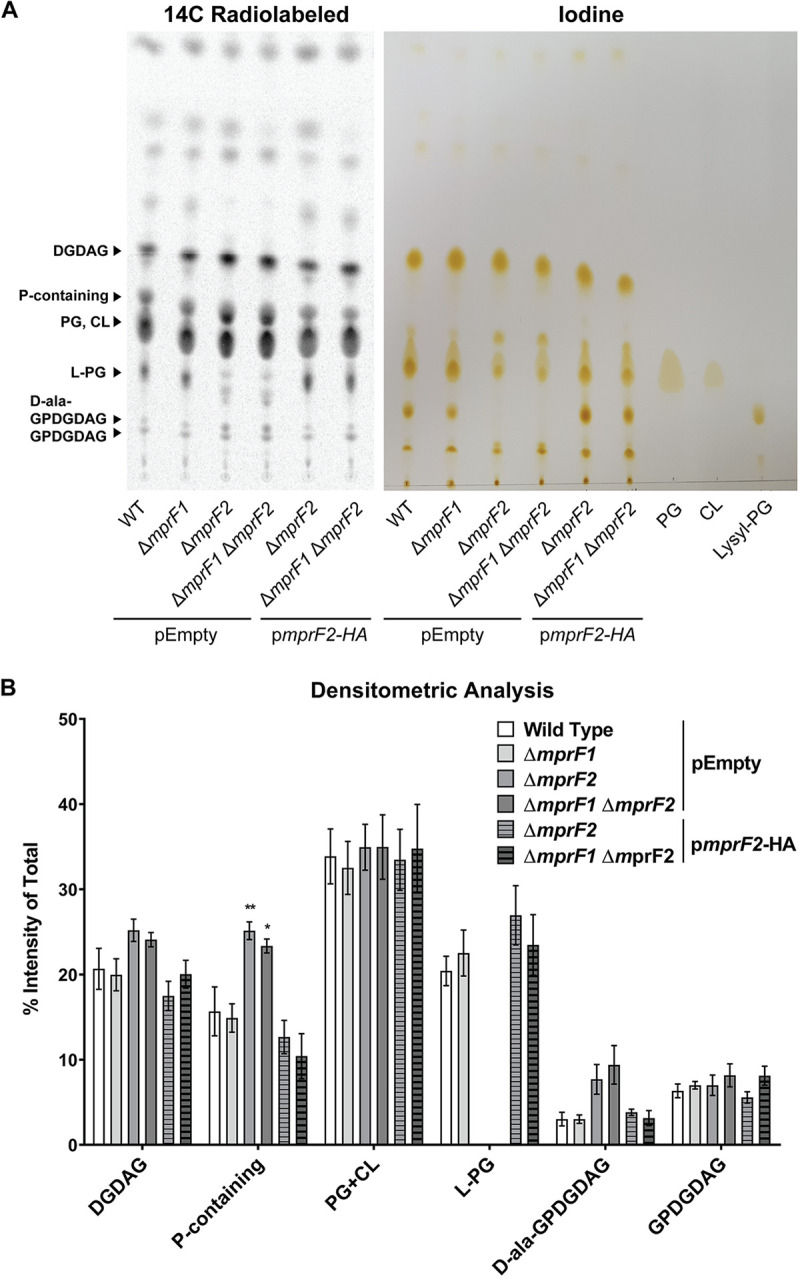 FIG 2