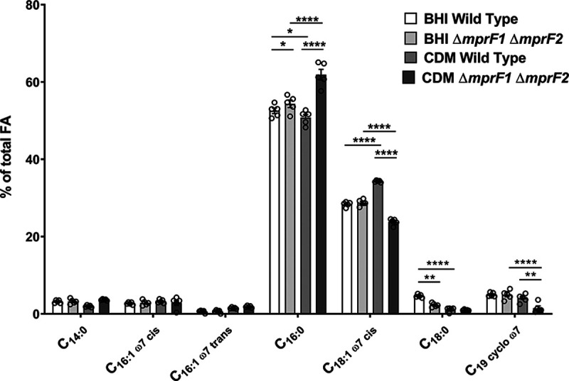 FIG 6