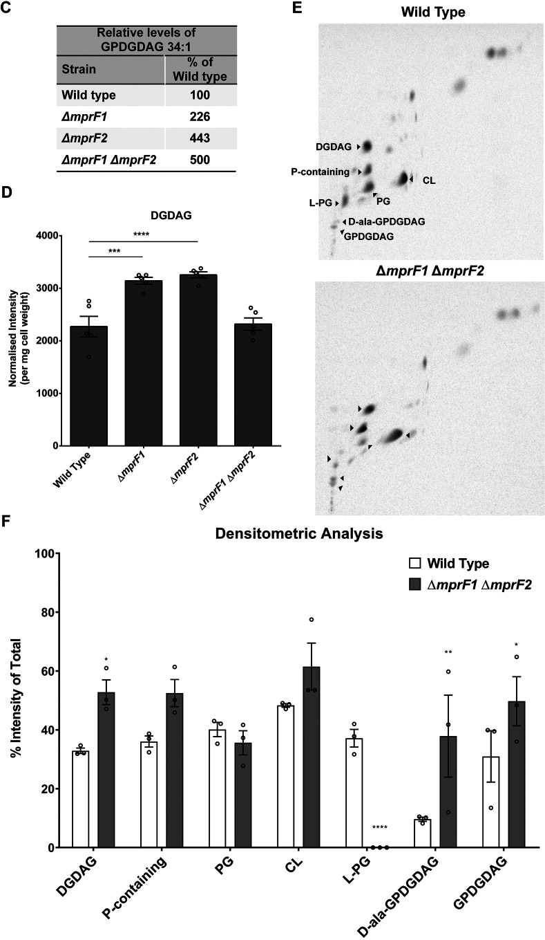 FIG 2