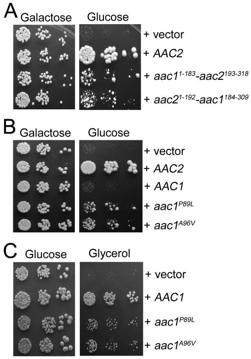 Fig. 10