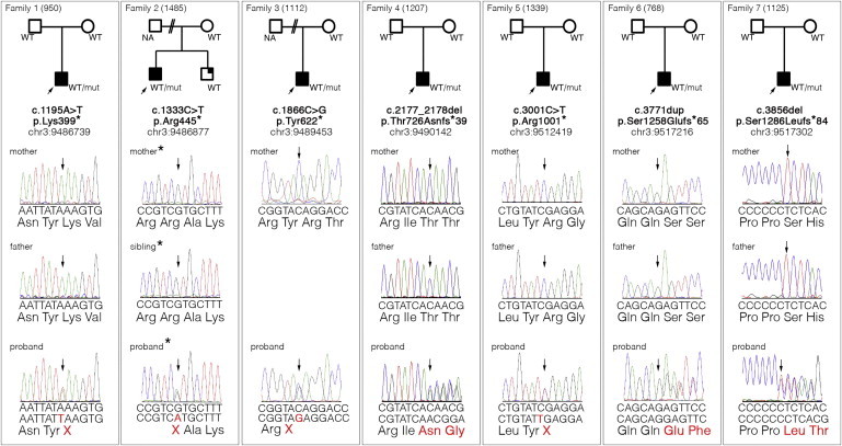 Figure 1