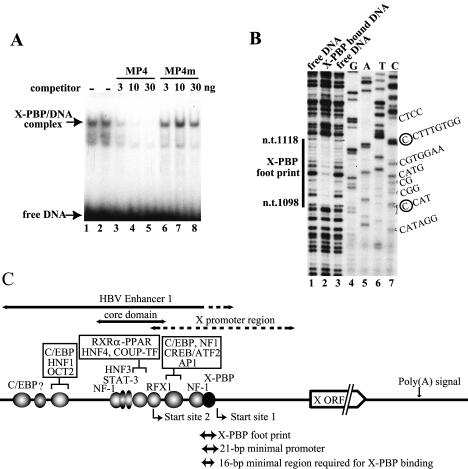 FIG. 1.