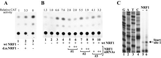 FIG. 4.