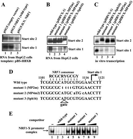 FIG. 5.